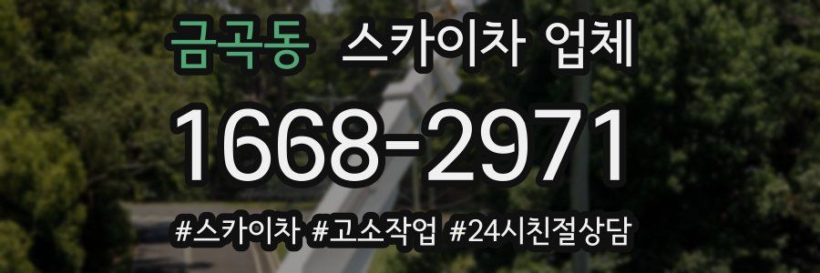 금곡동 스카이차 업체