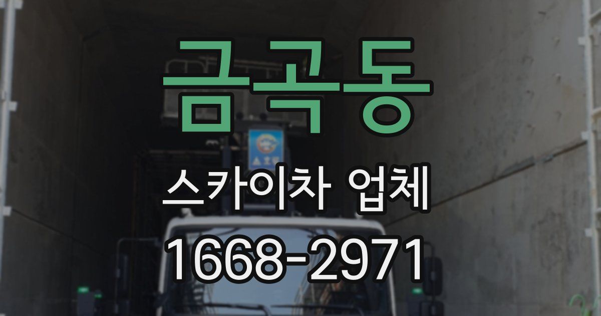 금곡동 스카이차 업체