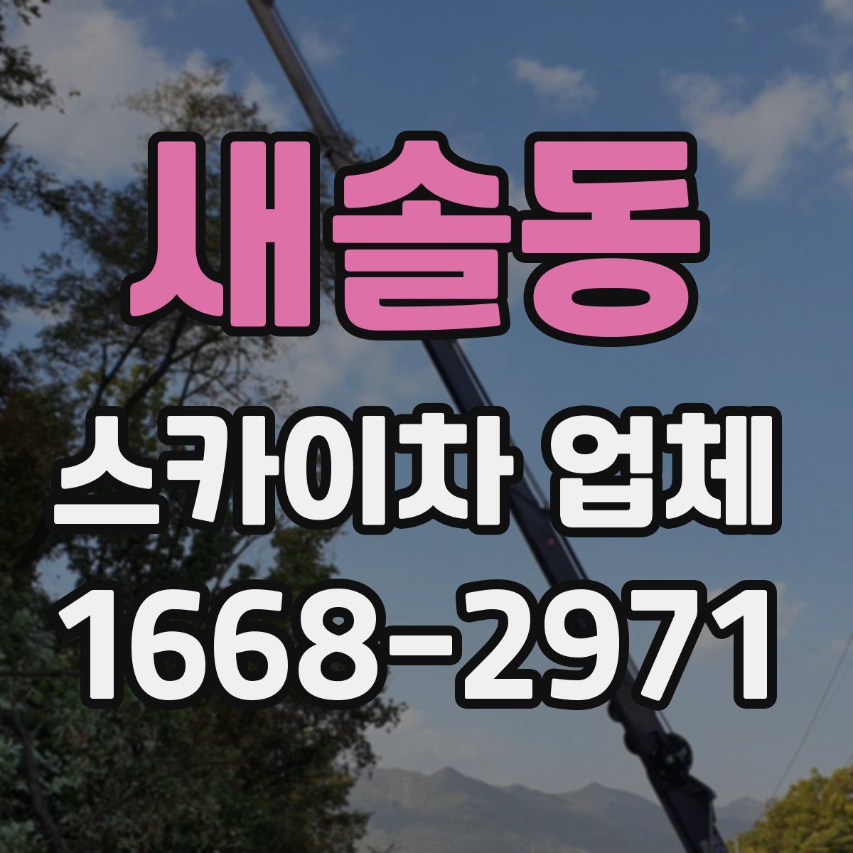 새솔동 스카이차 업체