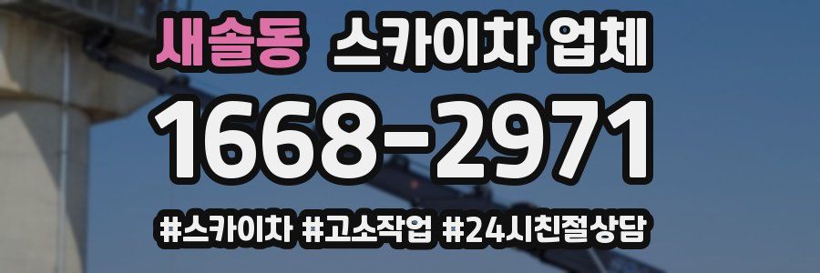 새솔동 스카이차 업체