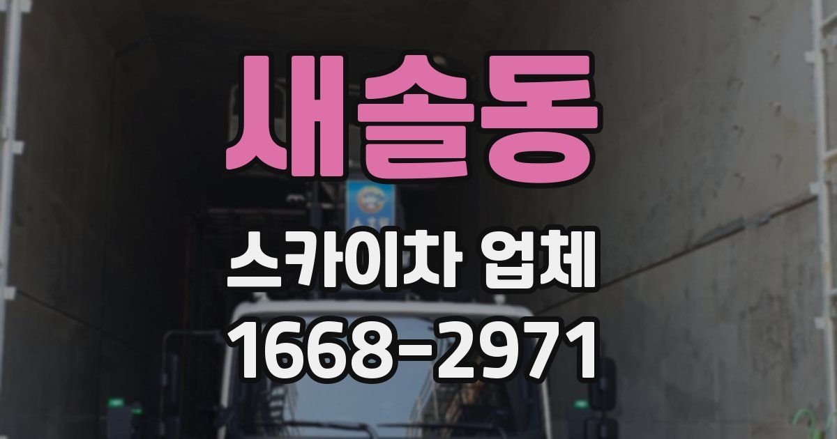 새솔동 스카이차 업체