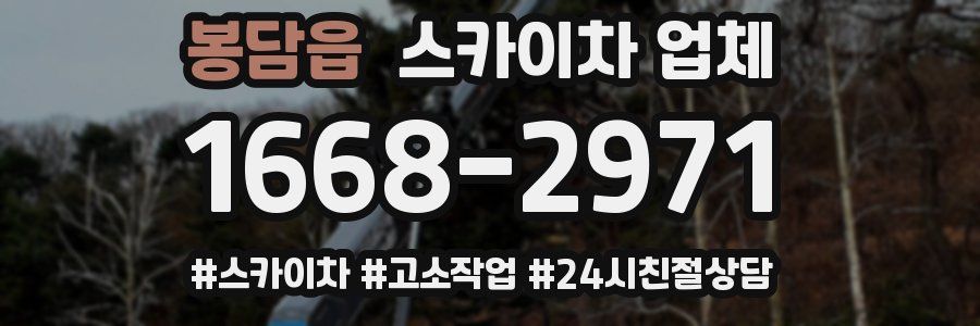 봉담읍 스카이차 업체