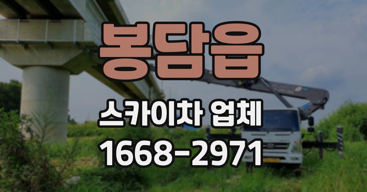 봉담읍 스카이차 업체