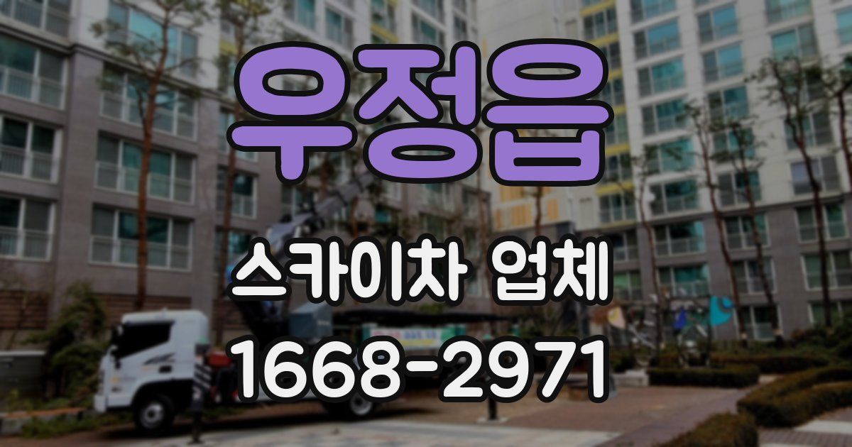 우정읍 스카이차 업체