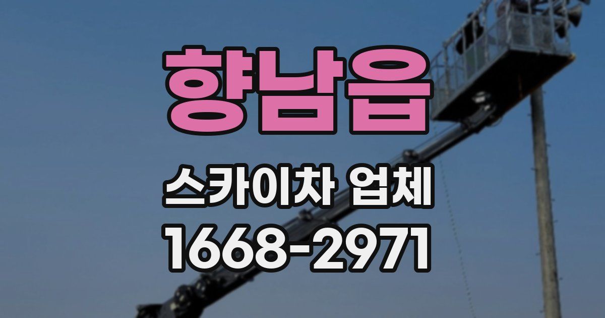 향남읍 스카이차 업체
