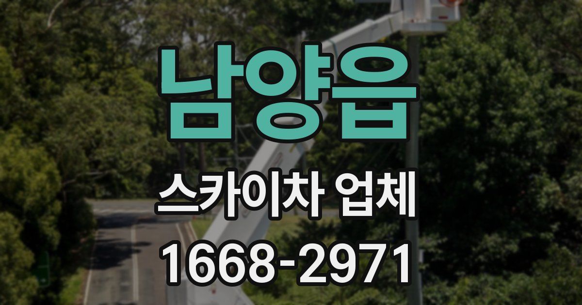 남양읍 스카이차 업체