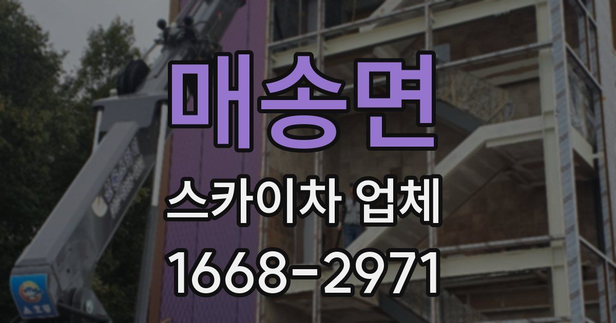 매송면 스카이차 업체