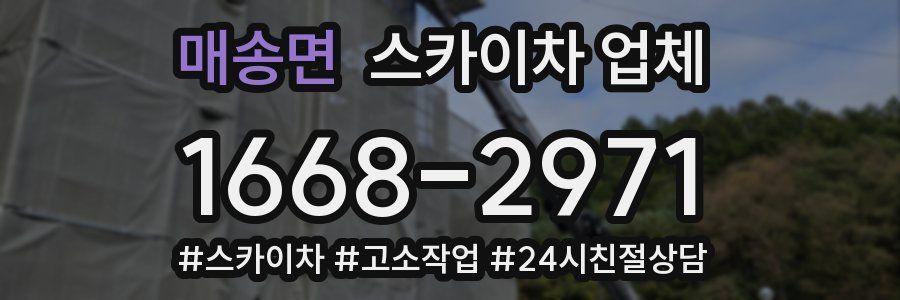 매송면 스카이차 업체