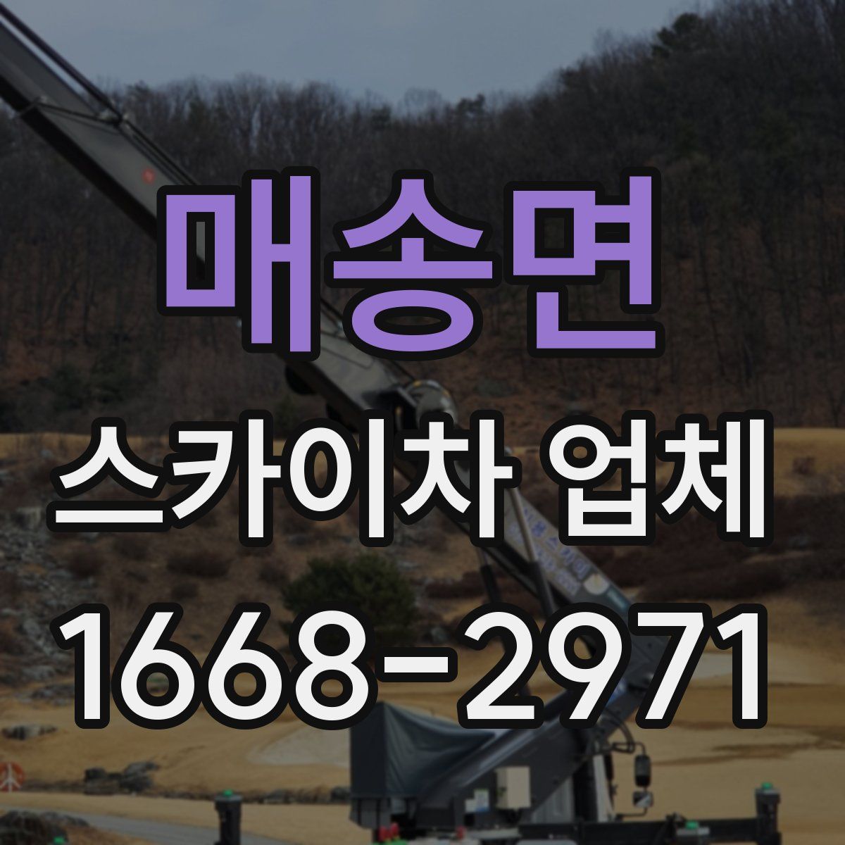 매송면 스카이차 업체