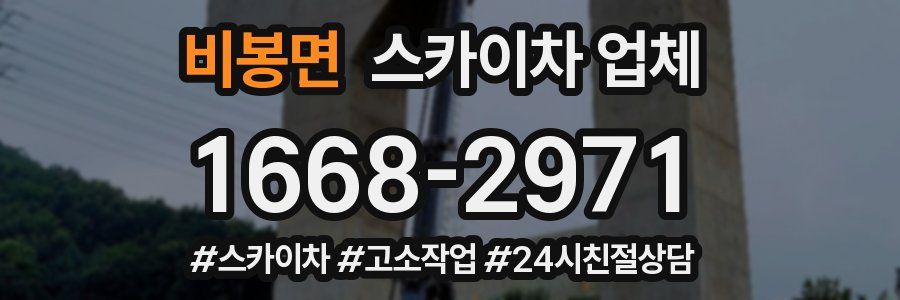 비봉면 스카이차 업체