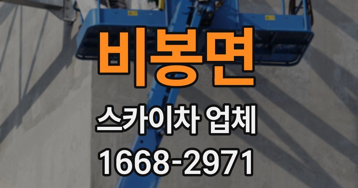비봉면 스카이차 업체