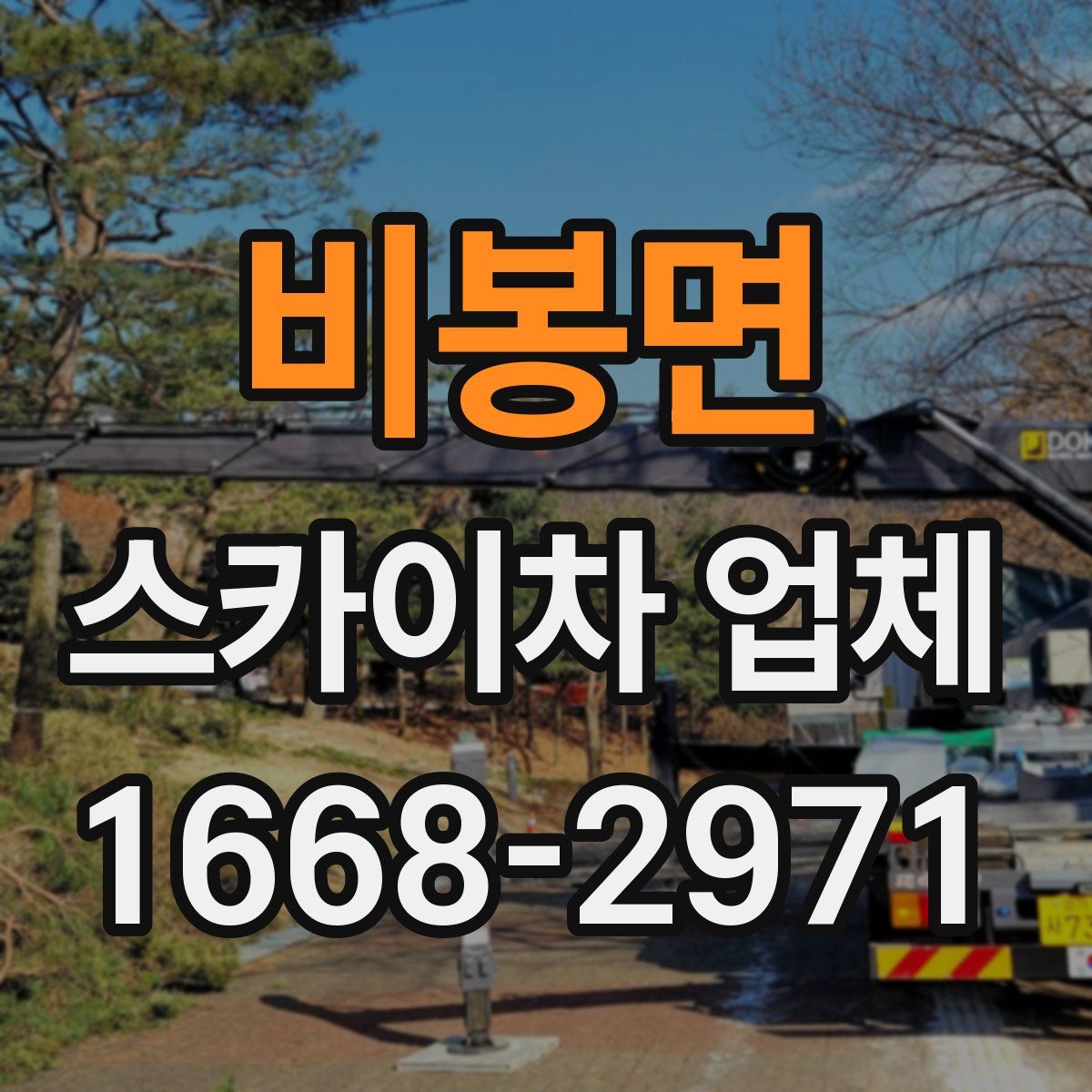 비봉면 스카이차 업체