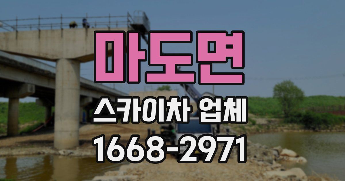 마도면 스카이차 업체
