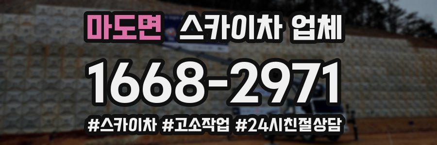 마도면 스카이차 업체