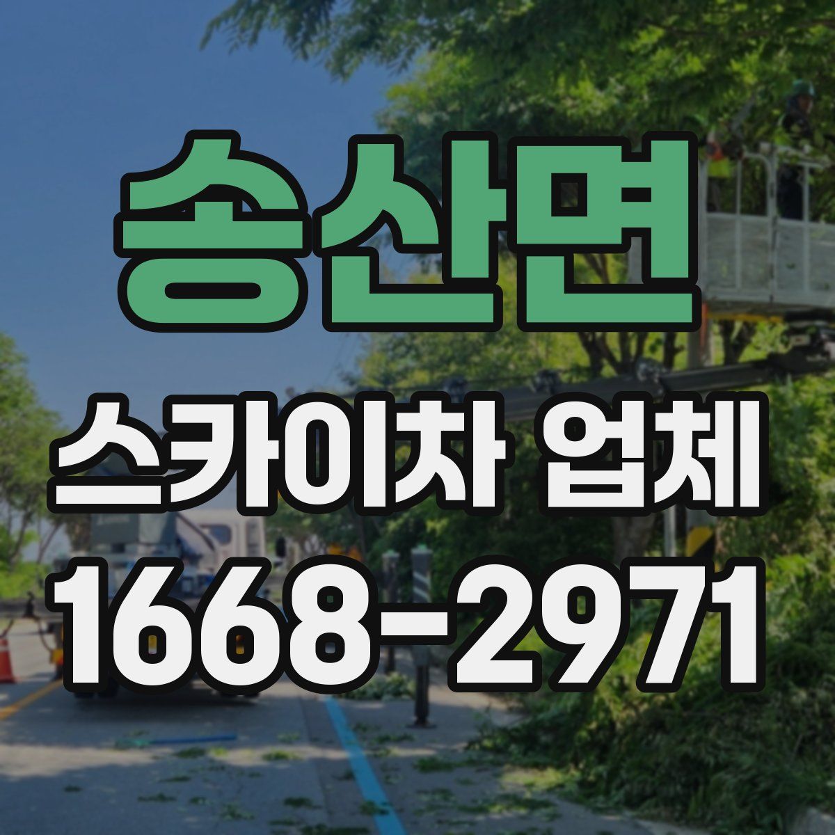 송산면 스카이차 업체