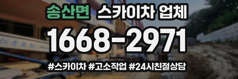 송산면 스카이차 업체