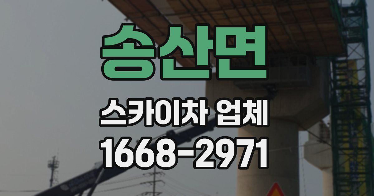 송산면 스카이차 업체