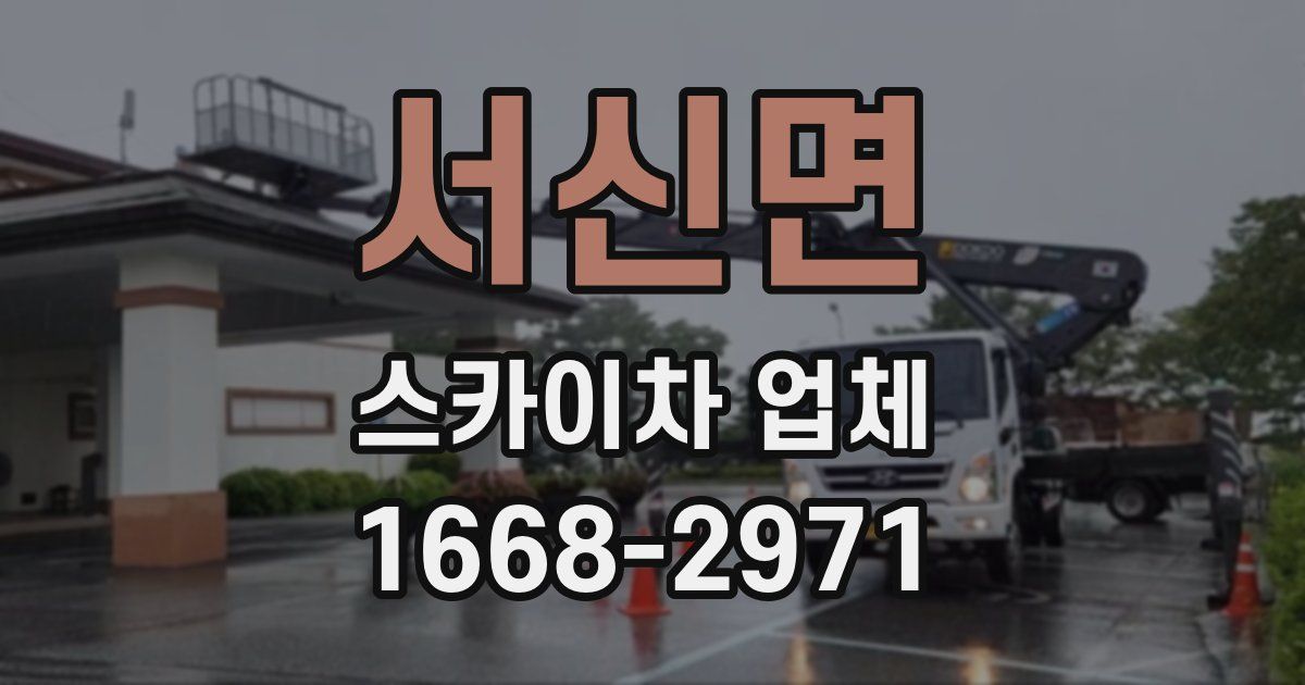 서신면 스카이차 업체