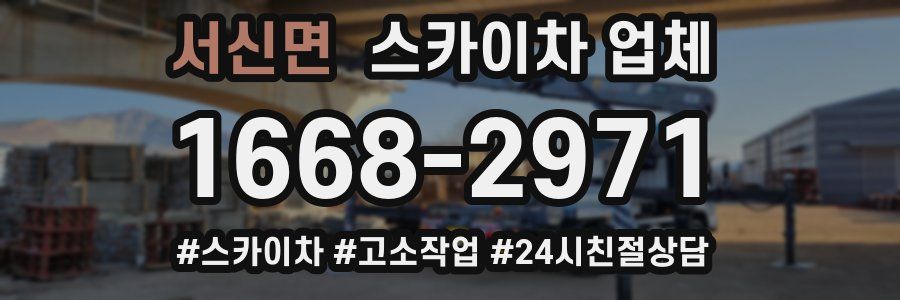 서신면 스카이차 업체