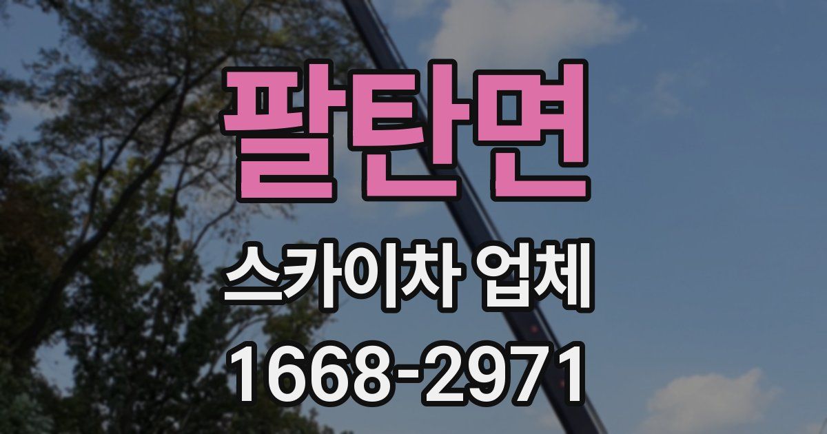 팔탄면 스카이차 업체