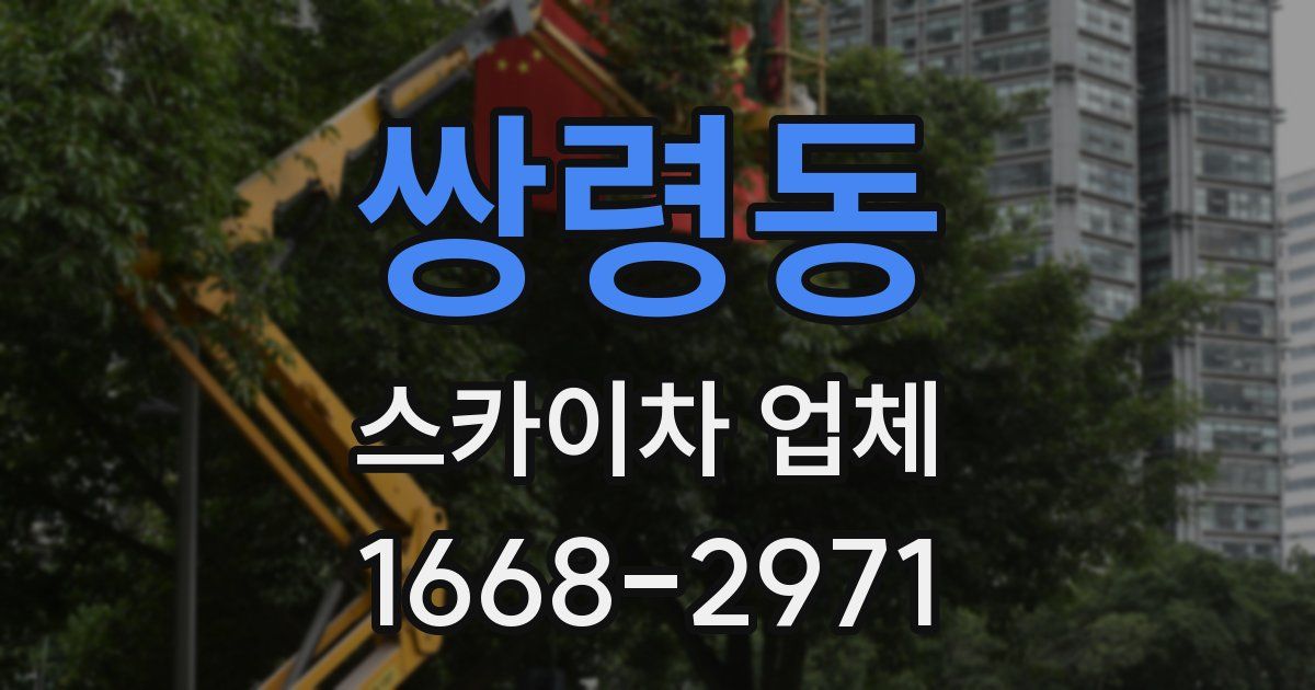 쌍령동 스카이차 업체