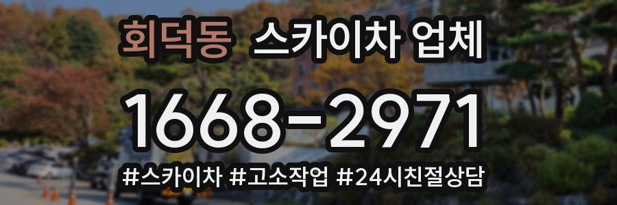 회덕동 스카이차 업체