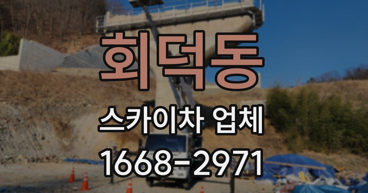 회덕동 스카이차 업체