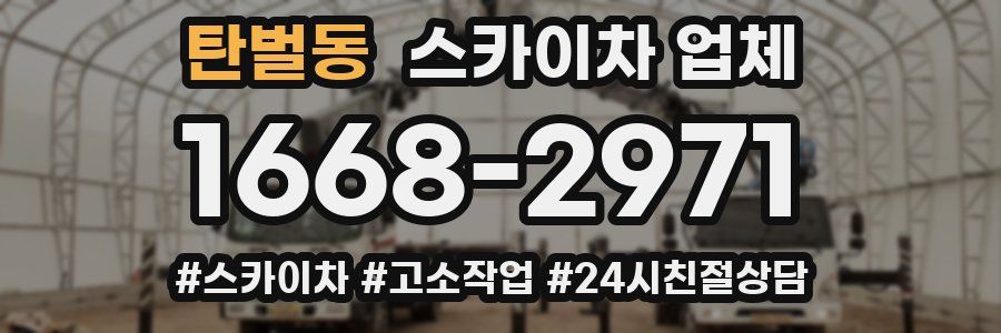 탄벌동 스카이차 업체