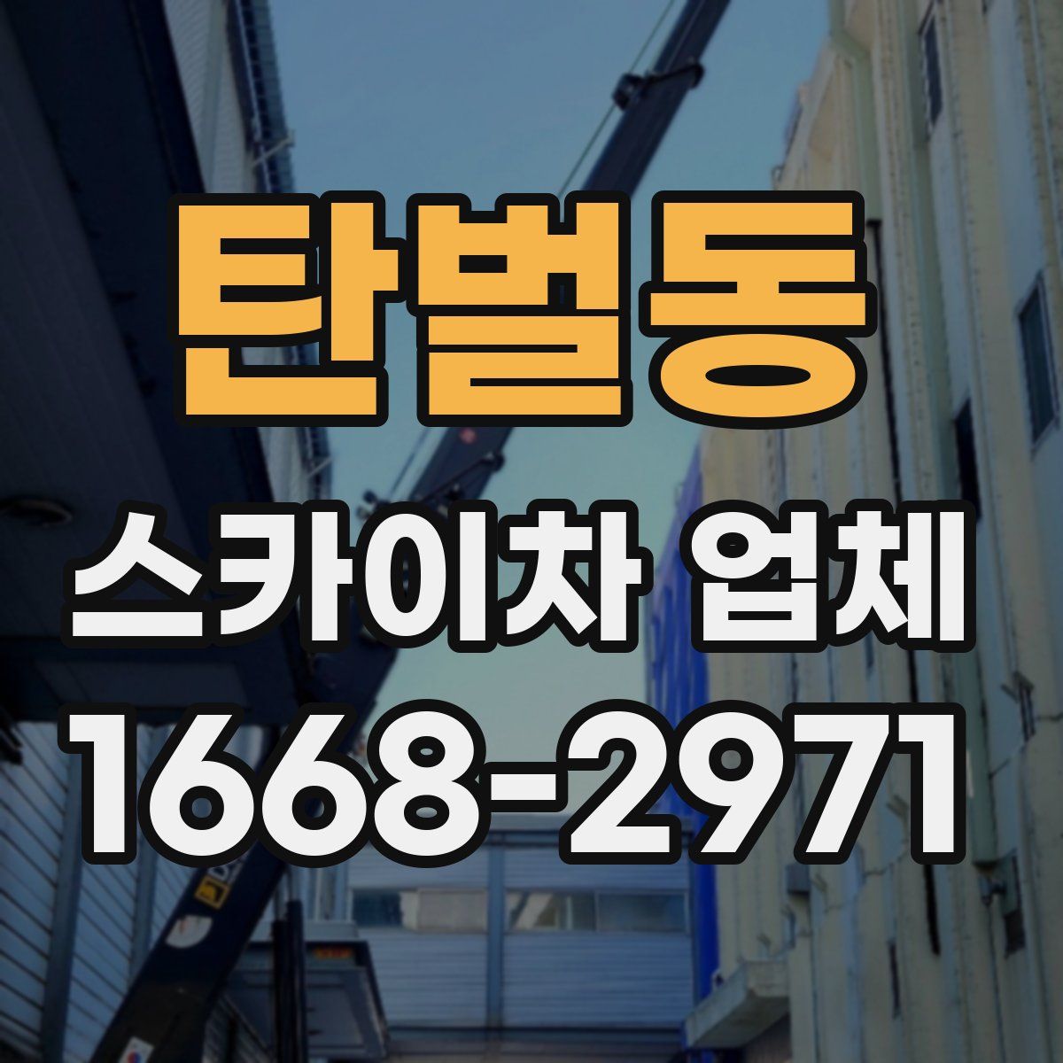탄벌동 스카이차 업체