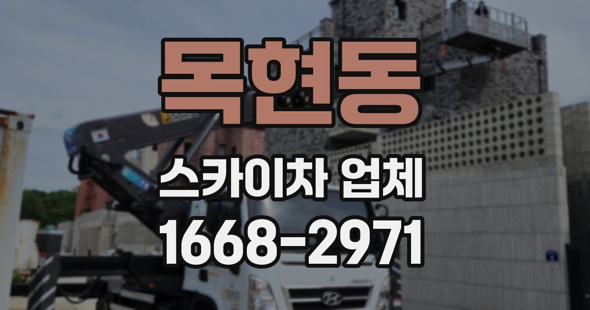 목현동 스카이차 업체