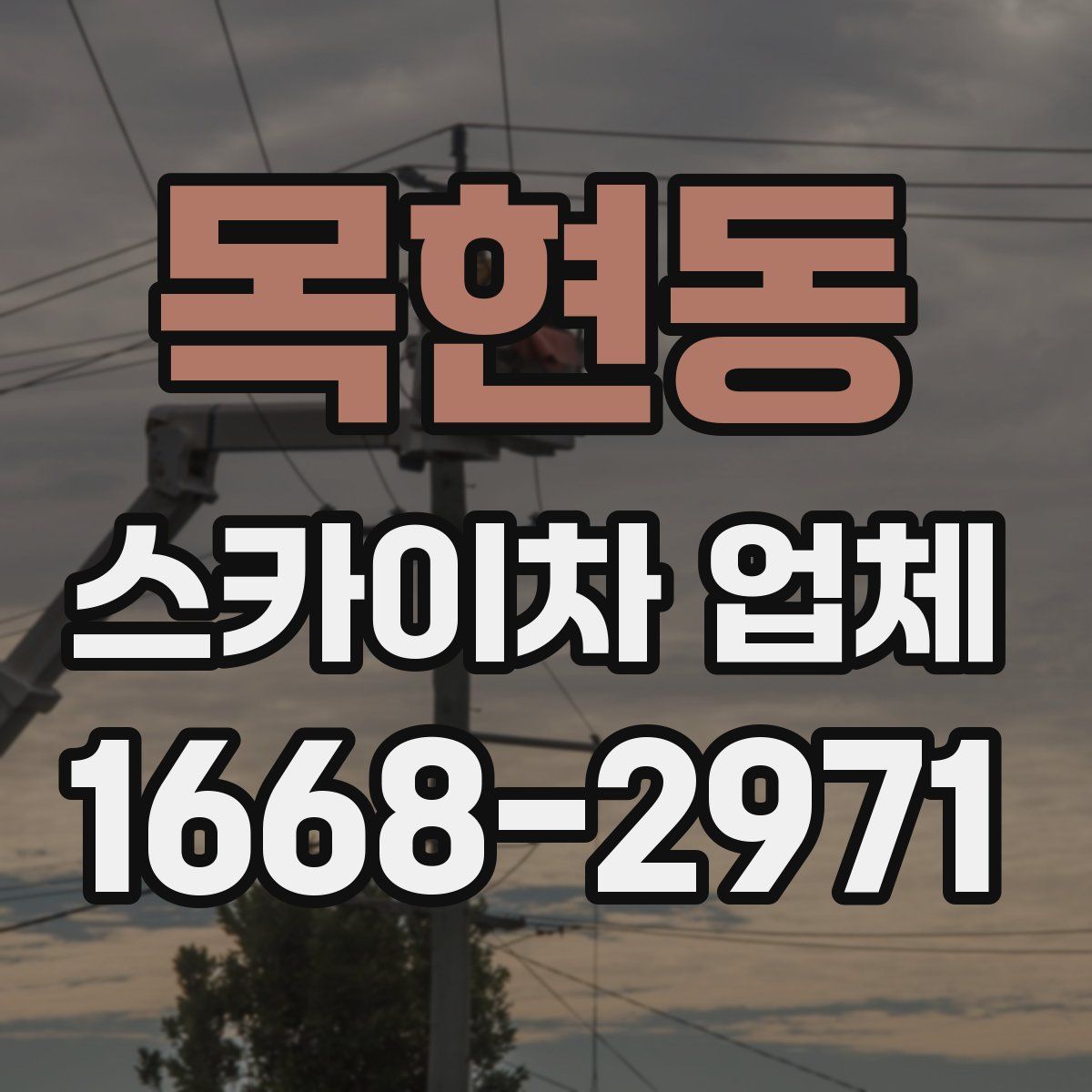 목현동 스카이차 업체
