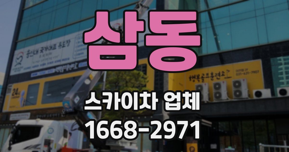 삼동 스카이차 업체