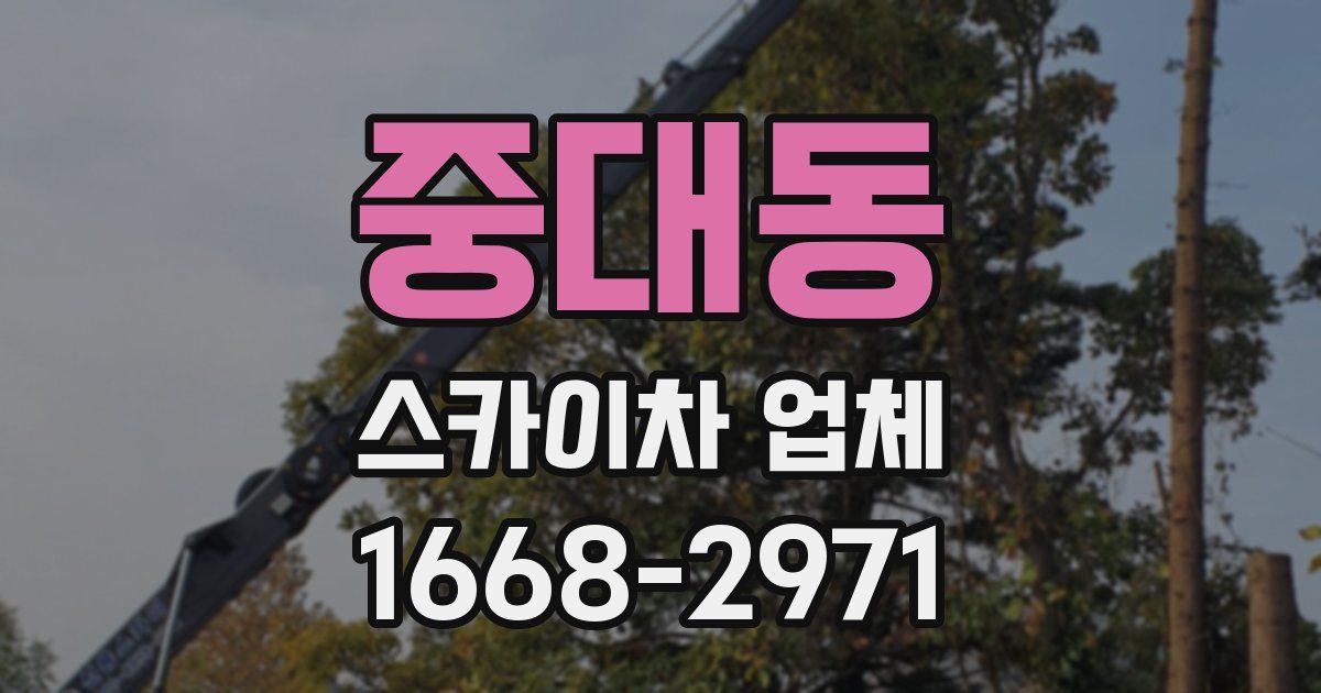 중대동 스카이차 업체