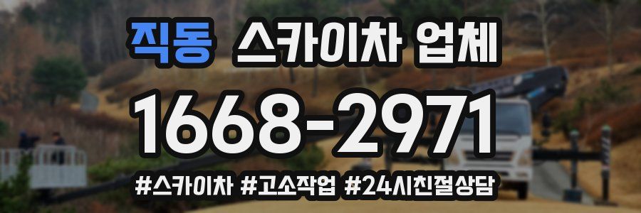 직동 스카이차 업체