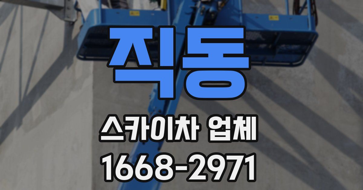 직동 스카이차 업체