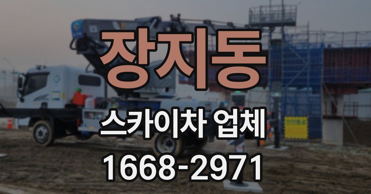 장지동 스카이차 업체