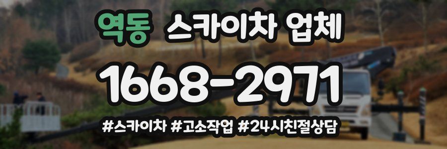 역동 스카이차 업체
