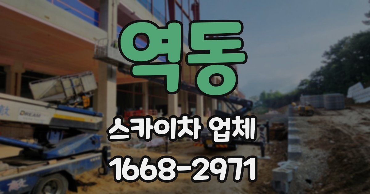 역동 스카이차 업체
