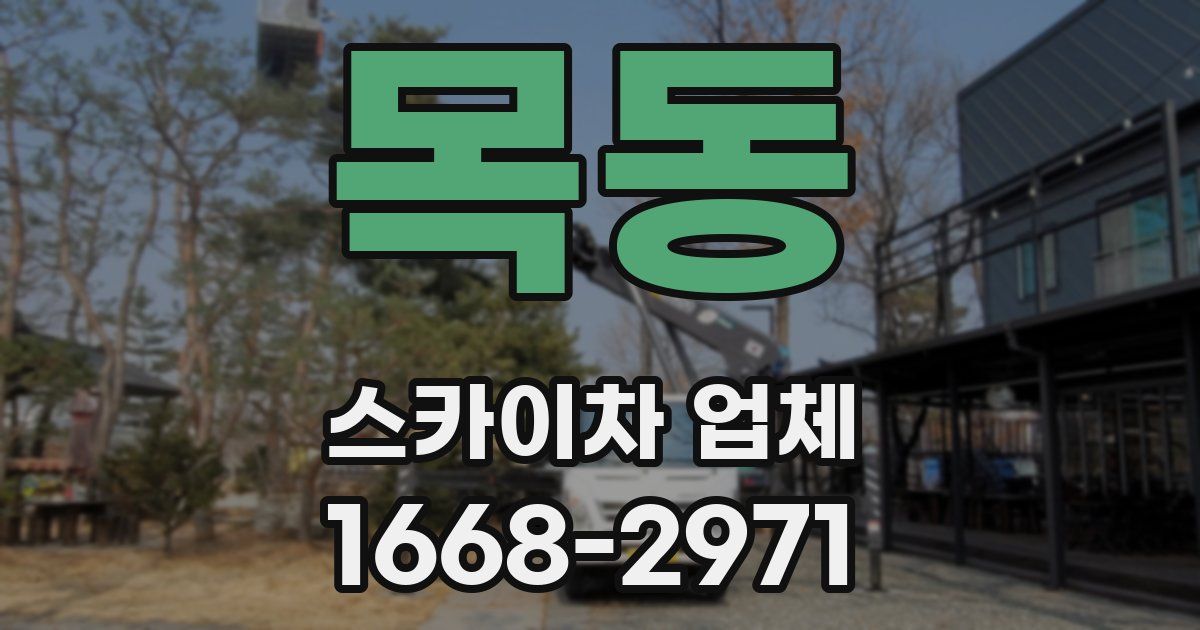 목동 스카이차 업체