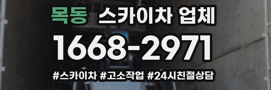 목동 스카이차 업체