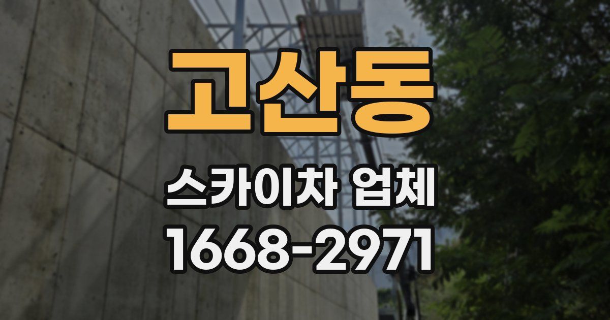 고산동 스카이차 업체
