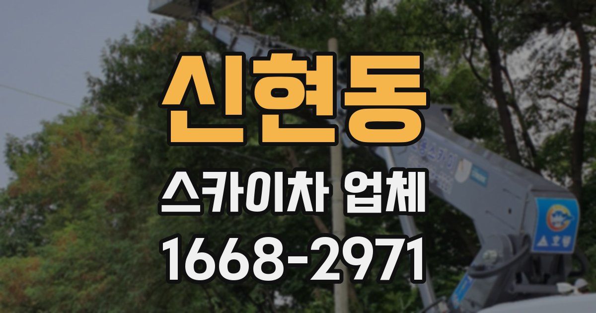 신현동 스카이차 업체