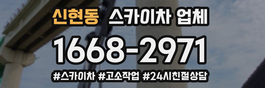 신현동 스카이차 업체