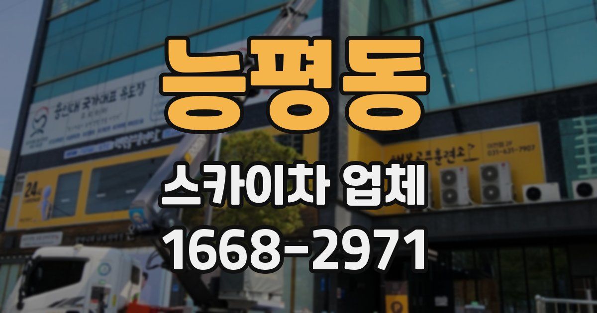 능평동 스카이차 업체