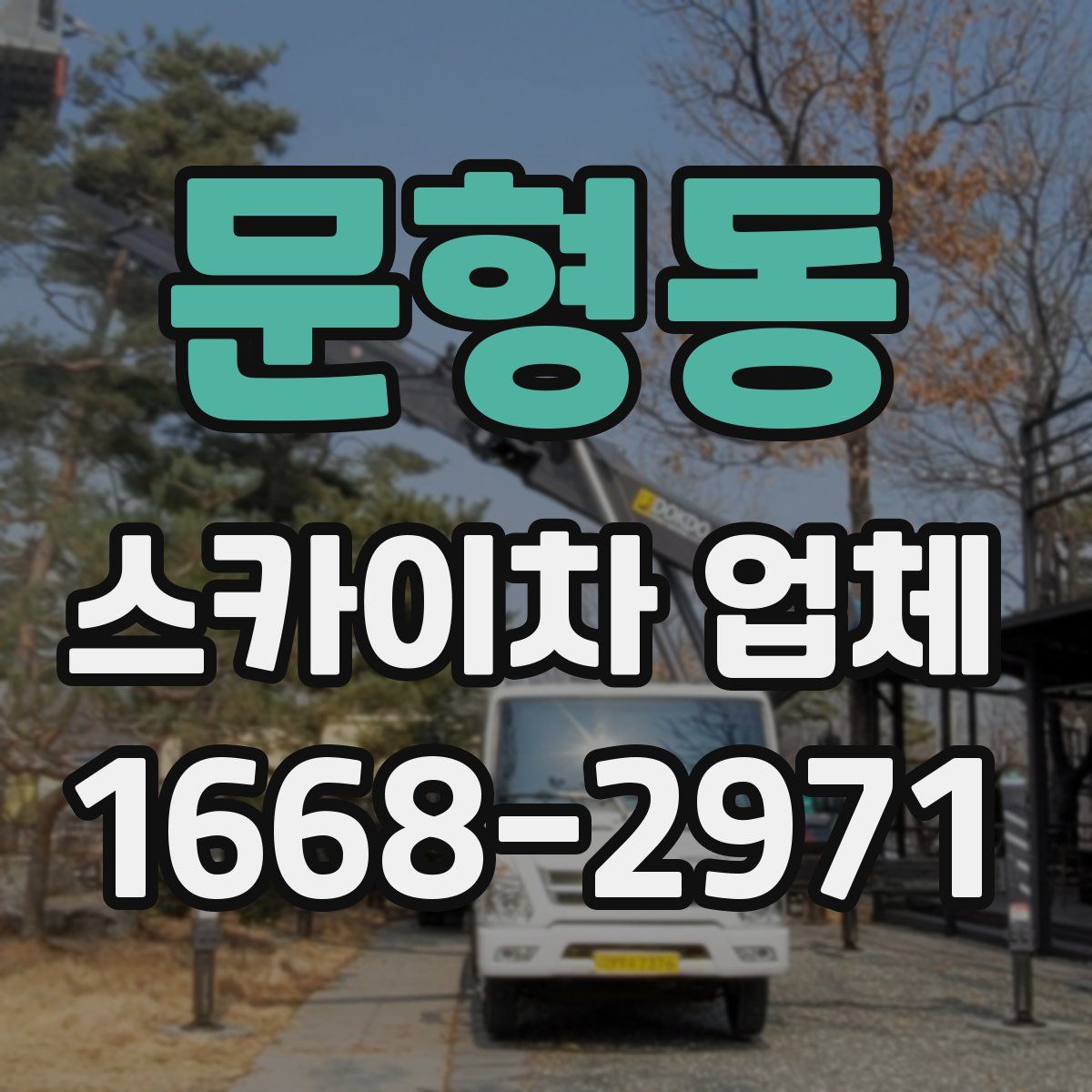 문형동 스카이차 업체