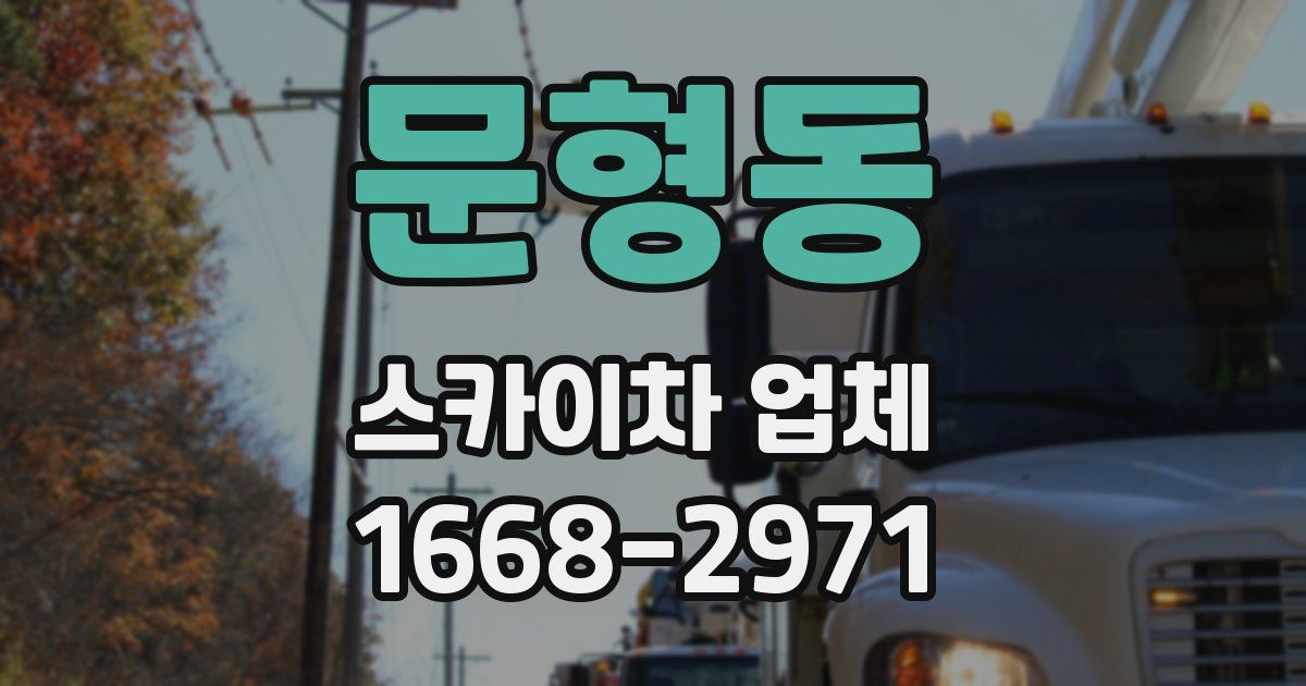 문형동 스카이차 업체