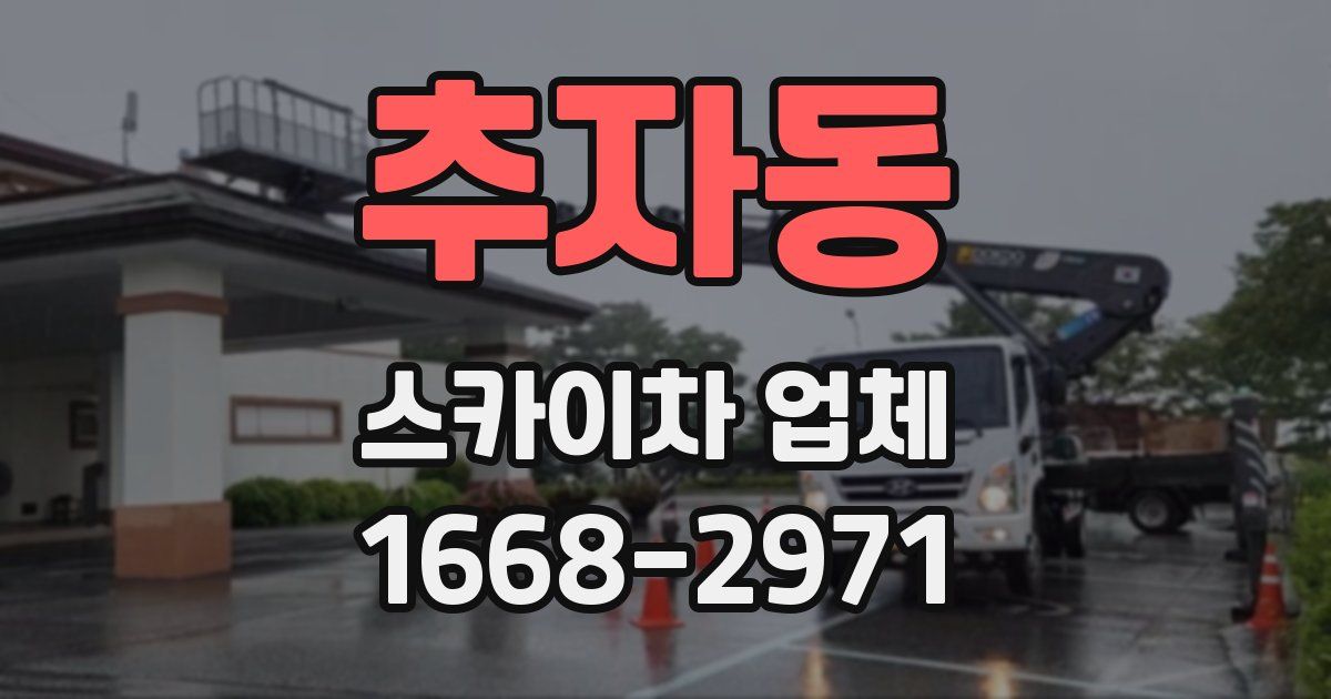 추자동 스카이차 업체