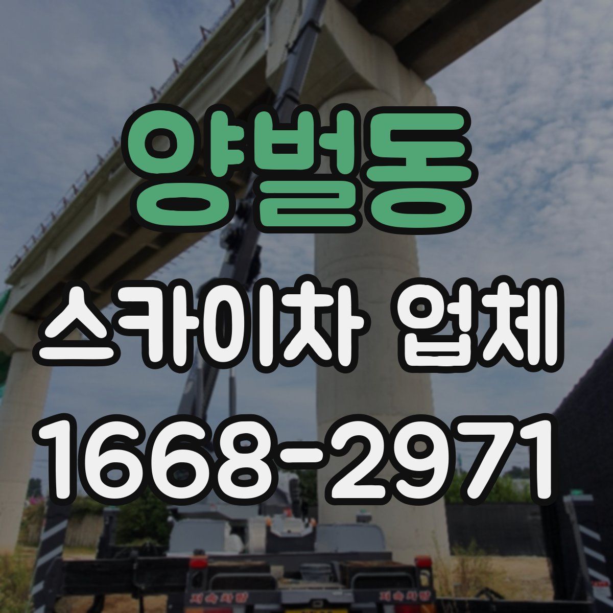 양벌동 스카이차 업체