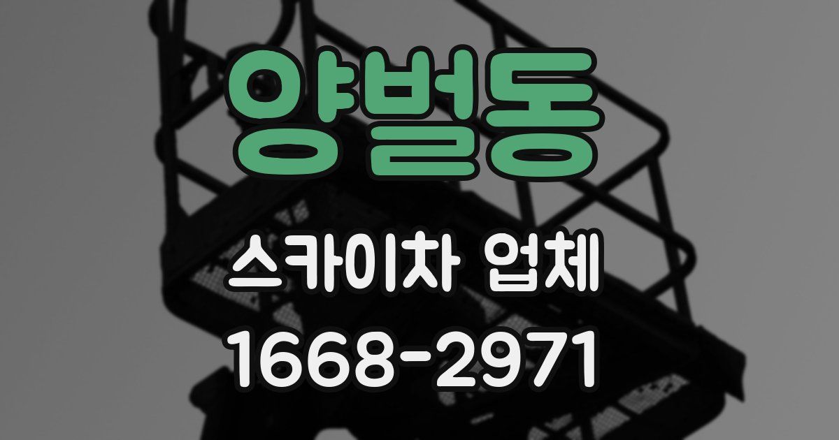 양벌동 스카이차 업체