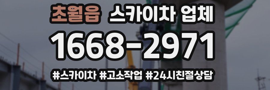 초월읍 스카이차 업체